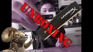 PC Build | RAM Unboxing