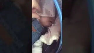 Спит в машине