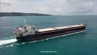 Palmali Holding - Dry Cargo Vessel
