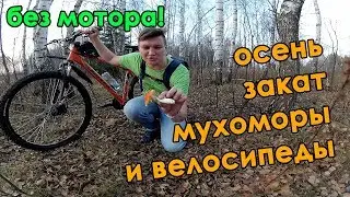 Покатушки на ВЕЛОСИПЕДЕ 🚲 БЕЗ МОТОРА ⚠️ Возможно ли такое? 😆