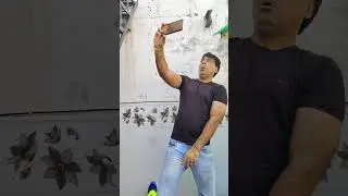 Just Fun 🤪🕺 #trending #viral #fun