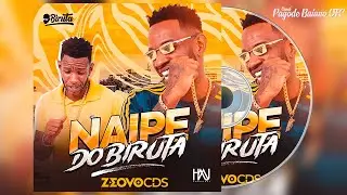 A INVASÃO - ATUALIZOU OUTUBRO - Naipe do biruta (2024)
