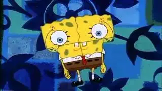Que bob, que calça? theme (WhoBob WhatPants)