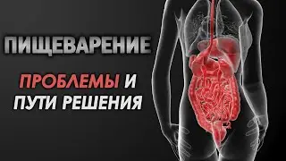 ЖКТ Физиология. НСП ДЛЯ ЖЕЛУДКА