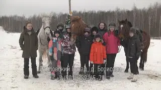Удивительный мир лошадей открывает конный клуб 