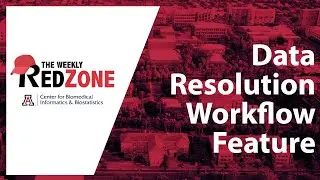 REDZone - Data Resolution Workflow Feature
