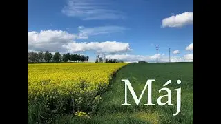MÁJ 🌼Na chatě 🏡Konvalinkový les🌼/vlog 14