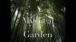 Mystical Garden