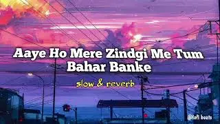 aaye Ho Mere Zindgi Me Tum bahar banke |udit narayan | old hindi song lofi song