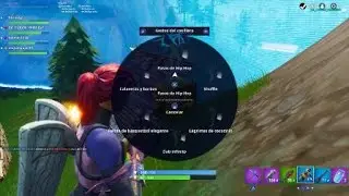 Fortnite Dont Fly Plz lol