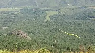 Мы