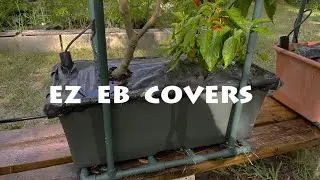 The Best Earthbox Cover