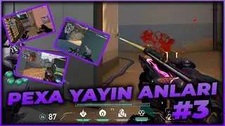 HEPSİNİ VURAYIM ULTİ ATMAK YERİNE | VALORANT PEXA YAYIN ANLARI #3