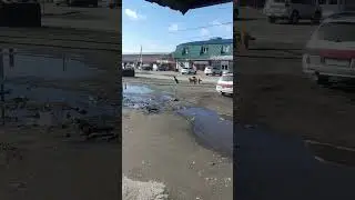 хор Американский ютуб наложил теневой бан на мой канал