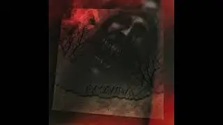 vᴇɴᴇʀᴀ - amanda