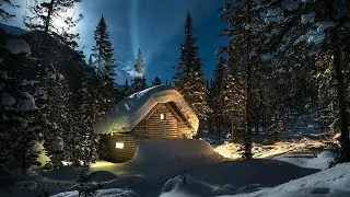 ah_astakhova Я хочу жить с тобой в доме в лесу...Читает Илика