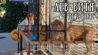 ❤️Лев ВИТЯ требует игрушку! Бимбо оценил презент! Неуловимая Пандора и другие любимки фермы «ИшачОк»