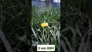 94 февраля