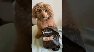Какой подарок вы выбираете? Модно взять ДВА