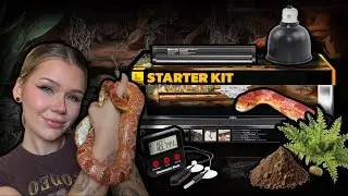 The ULTIMATE Corn Snake Starter Kit... | 28 things you NEED!