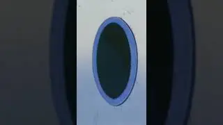 Errores de Doblaje en Dragon Ball (Episodio 49 y 50)