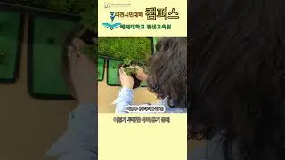 🌳나만의 실내정원 만들기