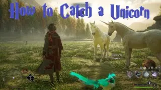 Hogwarts Legacy: Unique Unicorn
