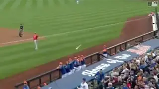 Hero dad saves kids from flying bat at Mets game