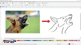 image convert to draw in Coreldraw