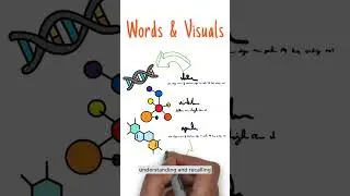Top 6 Study Hacks - How Many Do You Use? #shorts
