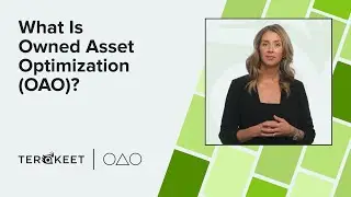 What Is Owned Asset Optimization (OAO)?