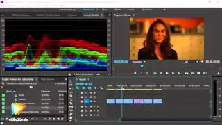 Premiere Pro CC 2015: Farbkorrektur Tutorial: Farbprobleme erkennen mit Scopes |video2brain.com