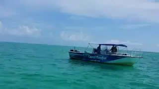Wild Dolphin Adventures Key West FL