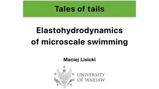 Tales of Tails: Elastohydrodynamics of Microscale Motion