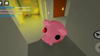 Piggy alpha