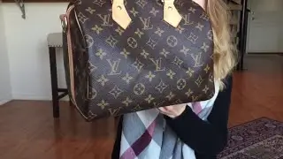 Louis Vuitton Speedy B 25 Wear and Tear Review
