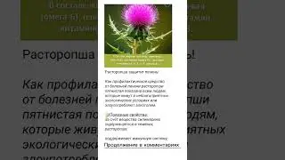 Если болит Печень...