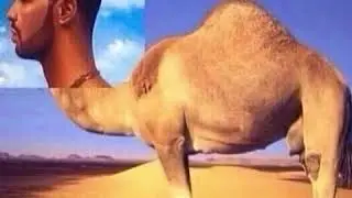 jurake camul