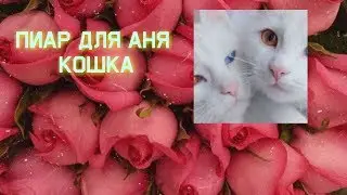 Пиар каналу Аня кошка