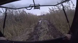 Опять за грибами