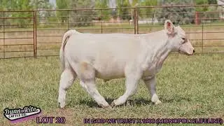 Dorsey24 20