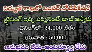 లైన్మెన్ ఉద్యోగాలు || TSSPDCL Vacancy Details 2024 || Jr.Lineman Recruitment In Telangana 2024