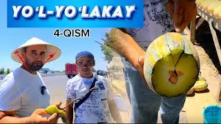 YOʻL-YOʻLAKAY. 4-QISM. SIRDARYO QOVUNLARI