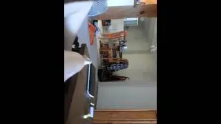 Mini plays fetch