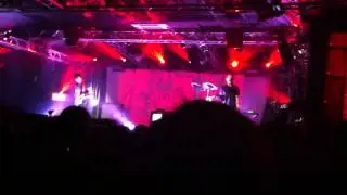 Dolphin - 26.10.02