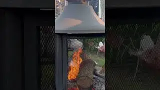 Toasting Marshmallows Over a Fire Pit #short #shorts #firepit