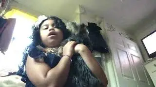 My crazy little dog prince