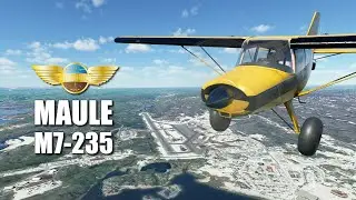 Maule M-7 da Pilot Experience Sim para o MSFS 2020
