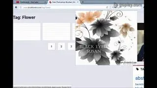 How to Easy and fast install brushes in photoshop cs6