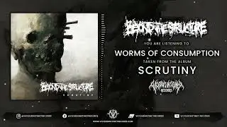 BEYOND THE STRUCTURE - SCRUTINY [OFFICIAL ALBUM PREMIERE]
